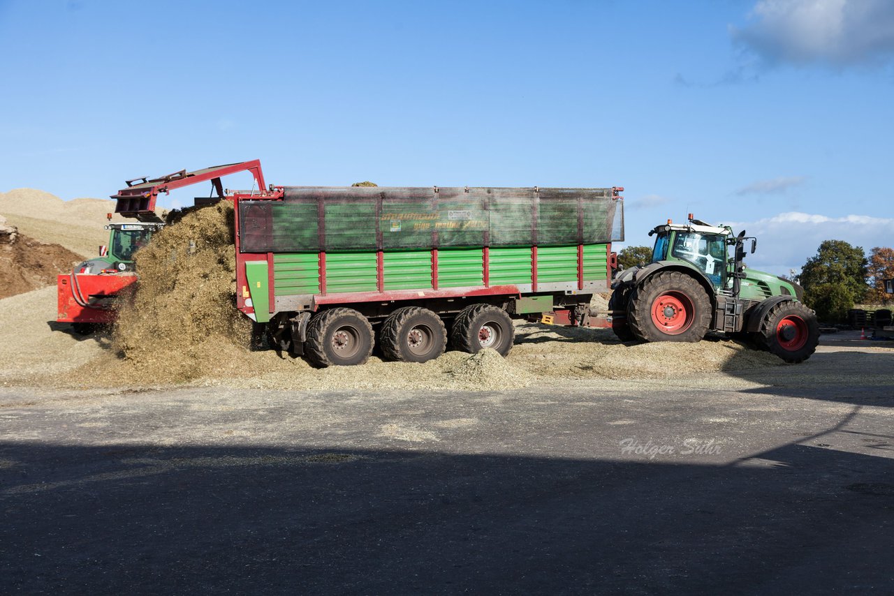 Bild 41 - Maisernte Kruppa in Fehrenbtel